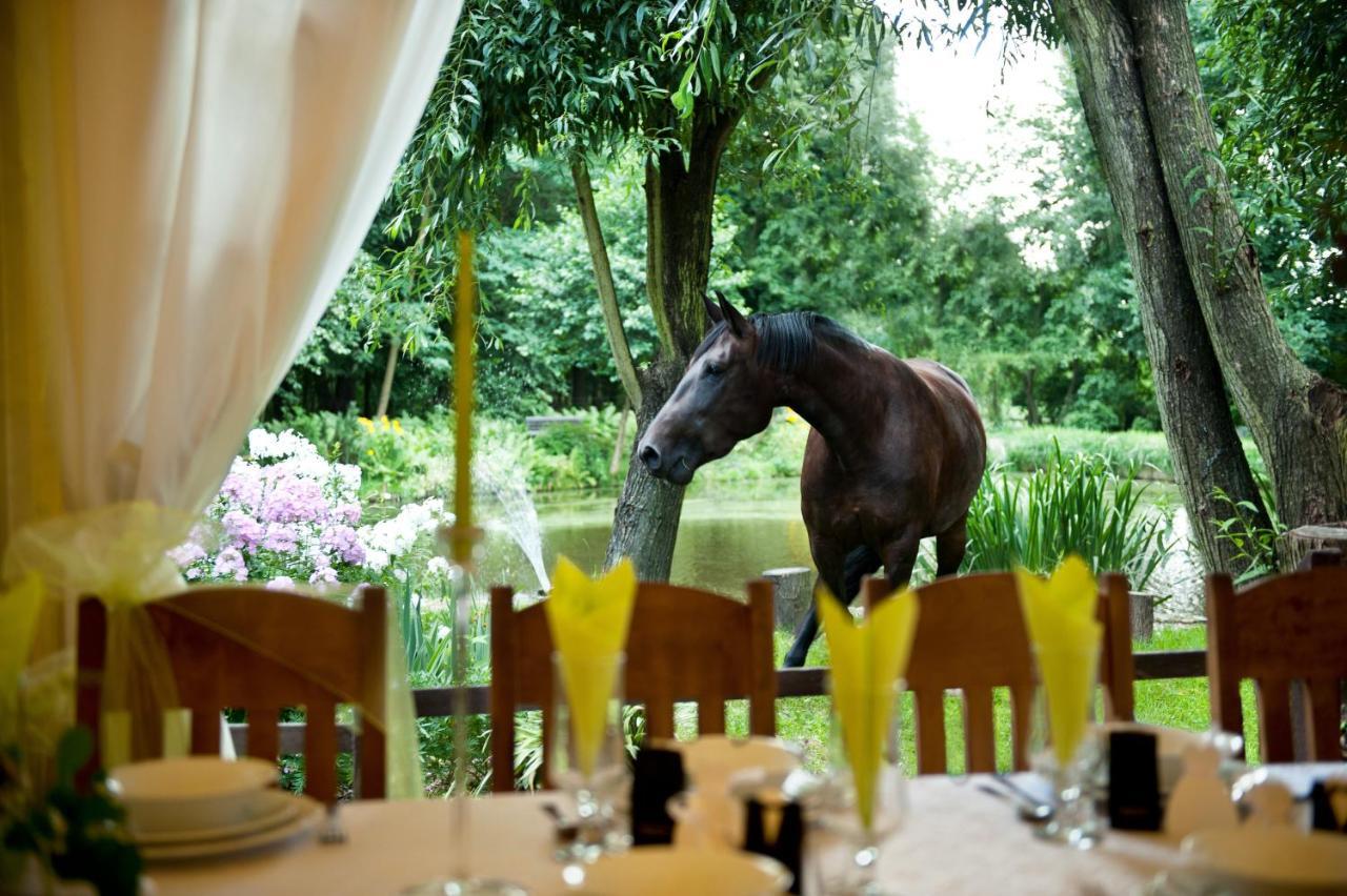 Rancho Slezanski Mlyn Szczepanow  Ngoại thất bức ảnh
